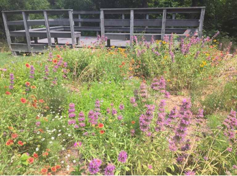 wallace park 3 768x573