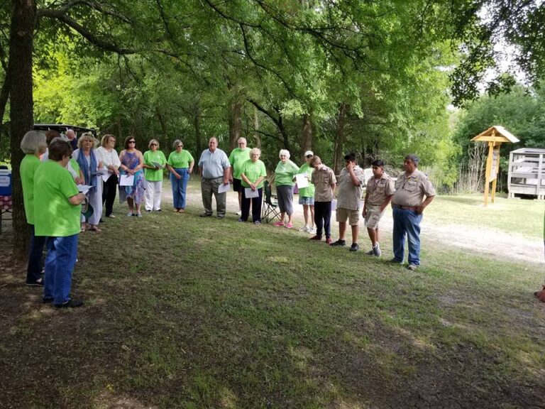 wallace park 4 768x576