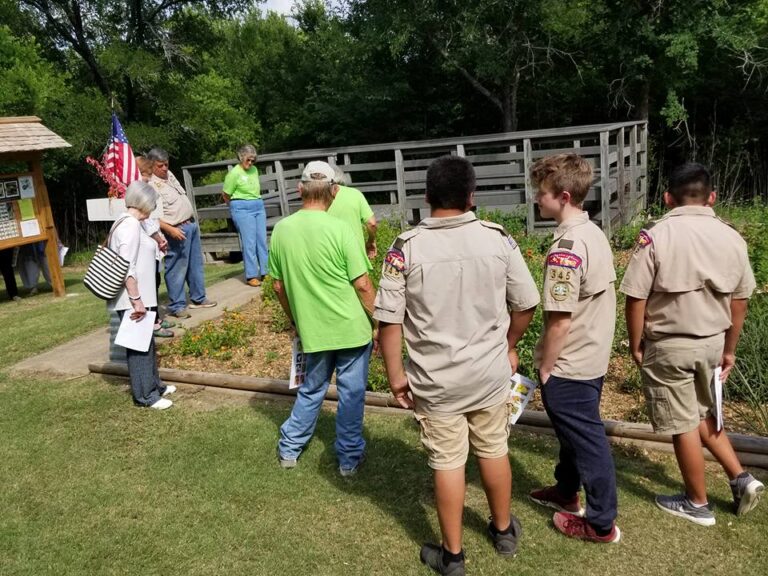 wallace park 5 1 768x576