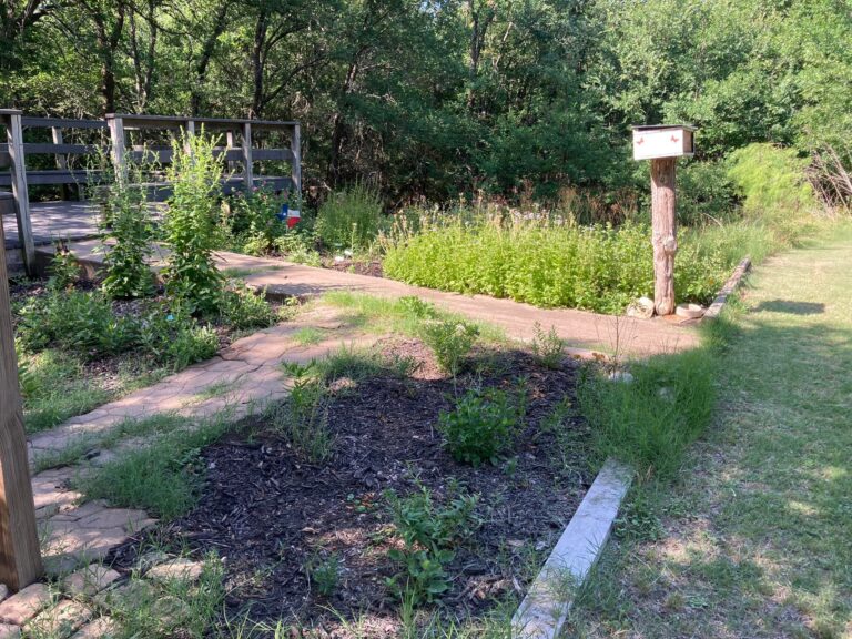 wallace park 6 768x576