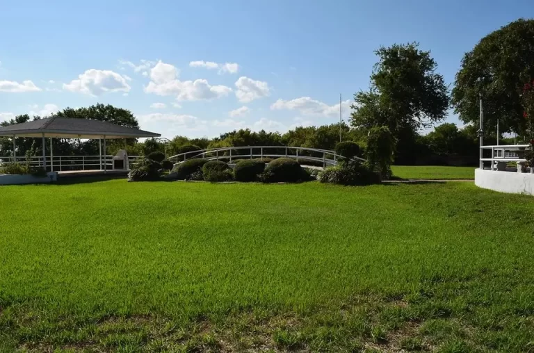 whit 3 51 2107019 166142646310380 768x508