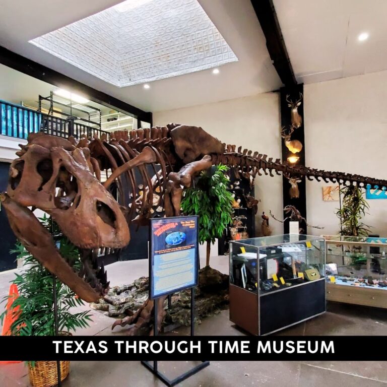 Texas Through Time Museum Hillsboro Texas 3 768x768