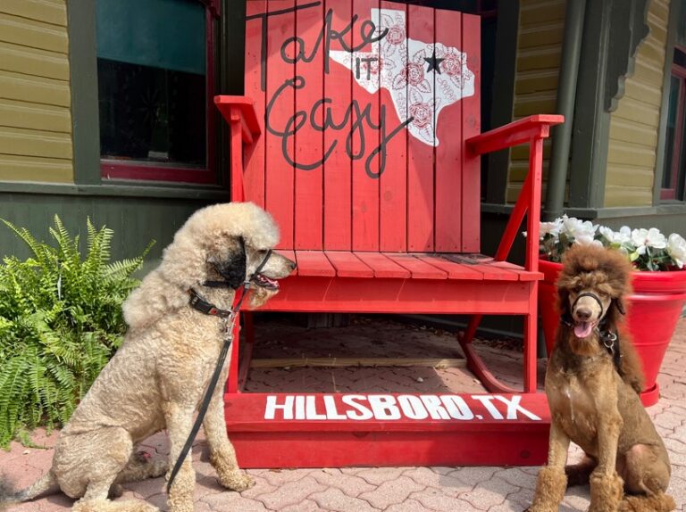 Big Red Chair Hillsboro Texas 4 768x574