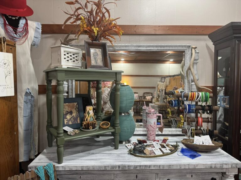 The Wild Horse Shopping Downtown Hillsboro Texas 2 768x576