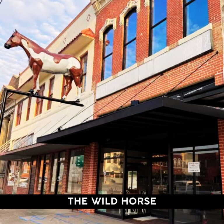 The Wild Horse Shopping Downtown Hillsboro Texas 2025 768x768