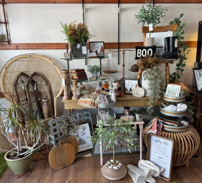 The Wild Horse Shopping Downtown Hillsboro Texas 4 768x697